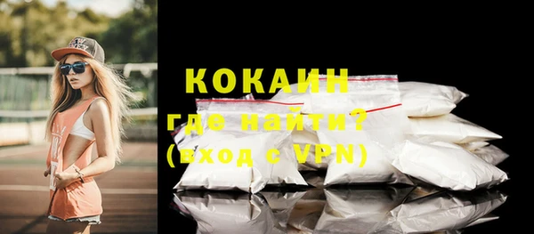 спайс Пересвет