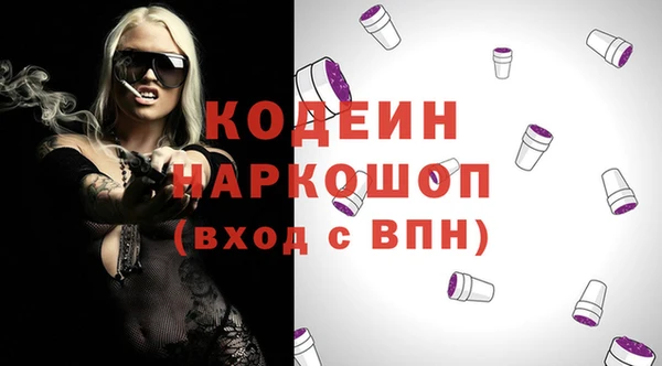 индика Верхний Тагил