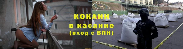 индика Верхний Тагил