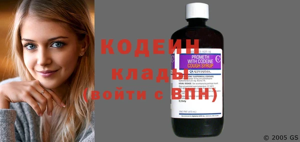 индика Верхний Тагил